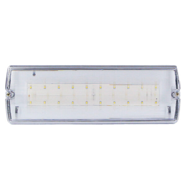Bulkhead Led 4W 280Lm emg fixture surface NM/M-maintained testbutton 3 hours LiFePo4 battery 3.2V 1500mAh IP65