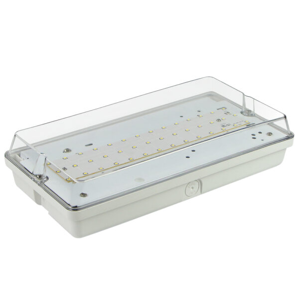 ST+AT High-lumen Bulkhead 18W AC:1600Lm EMG:1800Lm NM/M-maintained IP65-testbutton Remote-Receiver 3 hours LifePo4 9.6V 6000mAh battery IP65