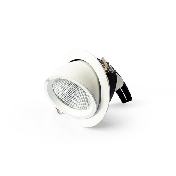 Downlight Spy 40 draai/kiep  4700 lumen 3000k + driver + eurosnoer 2p 3 mtr.