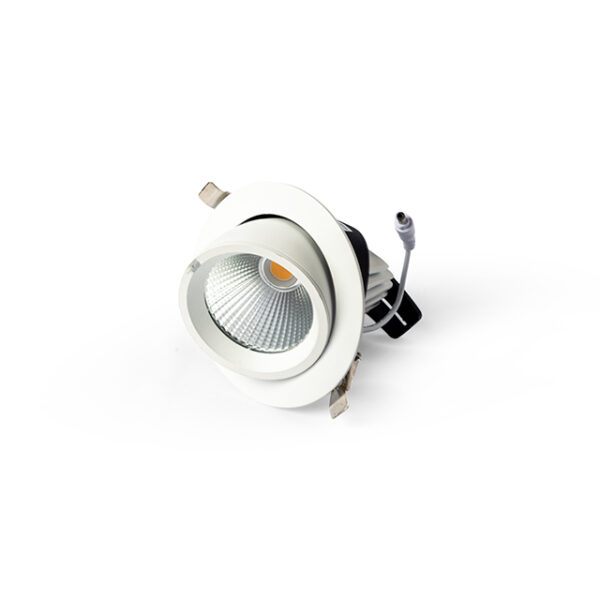 Downlight Spy 20 draai/kiep  2400 lumen 3000k + driver + eurosnoer 2p 3 mtr.